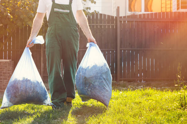 Best Basement Cleanout Services  in La Fayette, AL